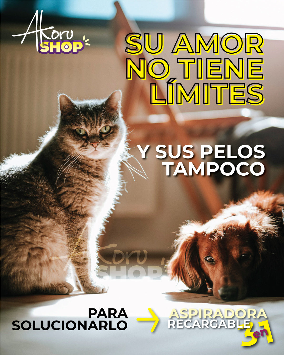 MINI ASPIRADORA portátil 🐾 Ideal para recoger los pelos de tu mascota 😺🐕>> 💯 RECARGABLE USB 3 en 1 🐾